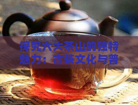 探究六大茶山的独特魅力：古茶文化与普洱茶特点的综合体验