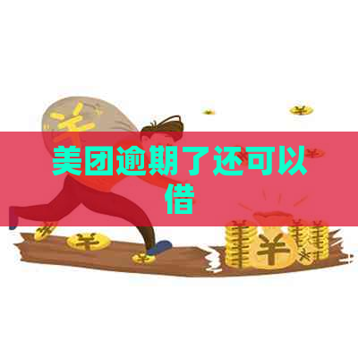 美团逾期了还可以借