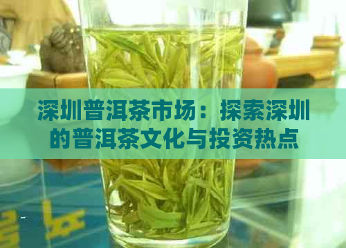 深圳普洱茶市场：探索深圳的普洱茶文化与投资热点