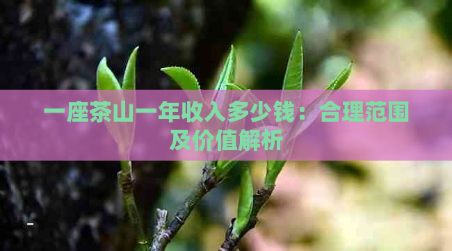 一座茶山一年收入多少钱：合理范围及价值解析