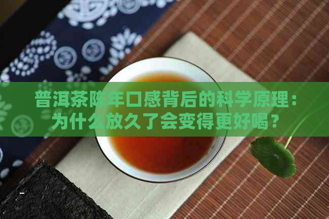 普洱茶陈年口感背后的科学原理：为什么放久了会变得更好喝？