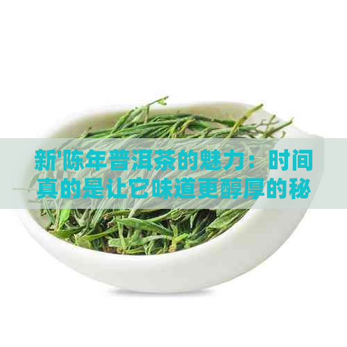 新'陈年普洱茶的魅力：时间真的是让它味道更醇厚的秘密吗？'