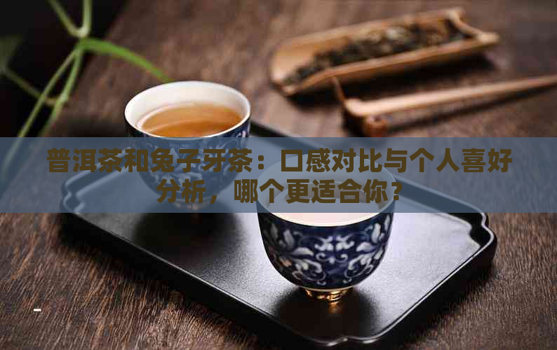 普洱茶和兔子牙茶：口感对比与个人喜好分析，哪个更适合你？