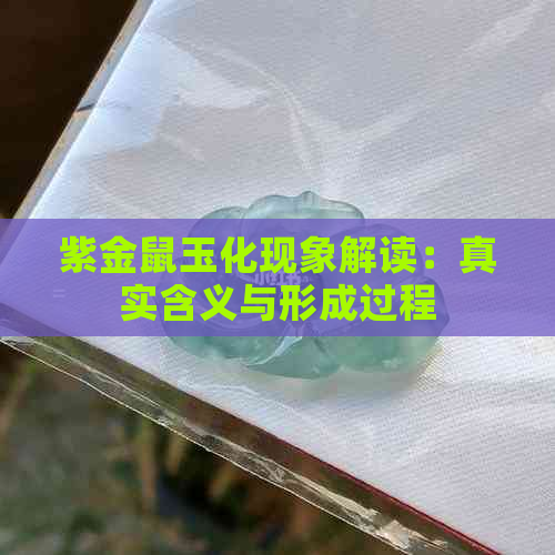 紫金鼠玉化现象解读：真实含义与形成过程