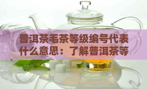 普洱茶毛茶等级编号代表什么意思：了解普洱茶等级及特点