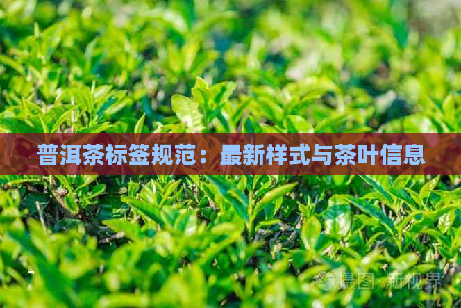 普洱茶标签规范：最新样式与茶叶信息