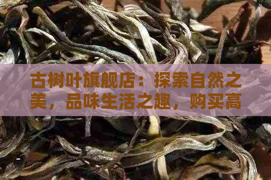 古树叶旗舰店：探索自然之美，品味生活之趣，购买高品质古树叶产品