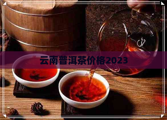 云南普洱茶价格2023