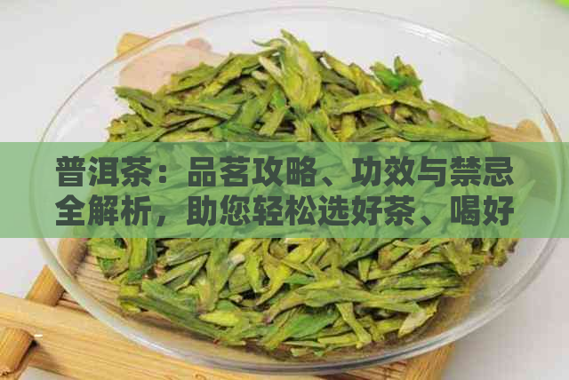 普洱茶：品茗攻略、功效与禁忌全解析，助您轻松选好茶、喝好茶