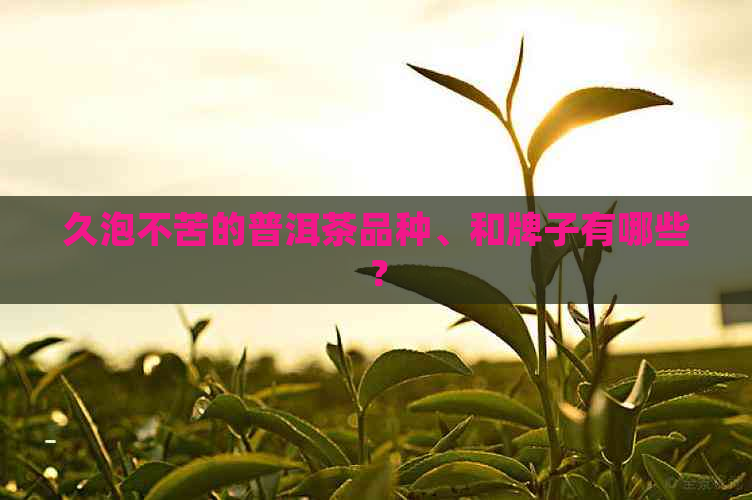 久泡不苦的普洱茶品种、和牌子有哪些？