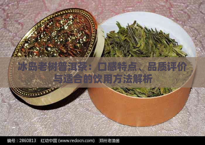 冰岛老树普洱茶：口感特点、品质评价与适合的饮用方法解析