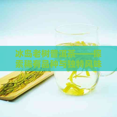 冰岛老树普洱茶——探索稀有品种与独特风味的价格分析