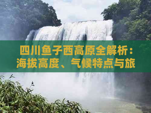 四川鱼子西高原全解析：海拔高度、气候特点与旅游攻略