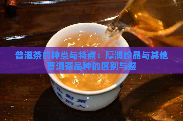 普洱茶的种类与特点：厚润珍品与其他普洱茶品种的区别与鉴