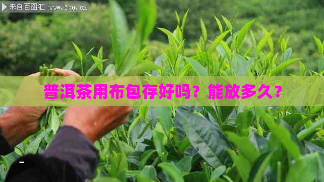 普洱茶用布包存好吗？能放多久？