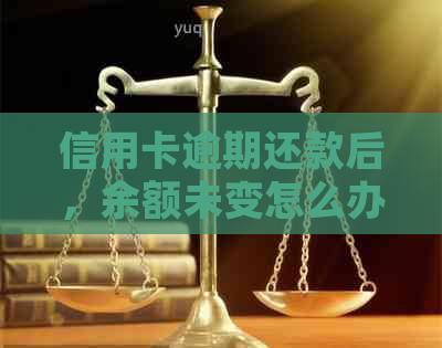 信用卡逾期还款后，余额未变怎么办？解答疑惑并防止进一步影响