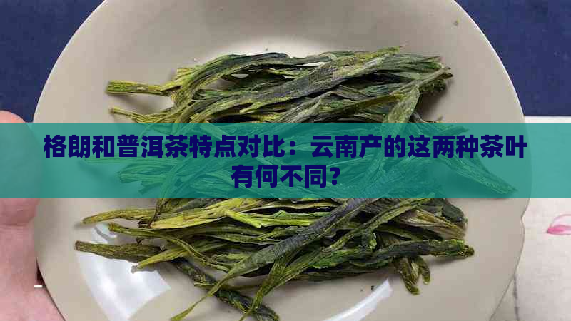 格朗和普洱茶特点对比：云南产的这两种茶叶有何不同？