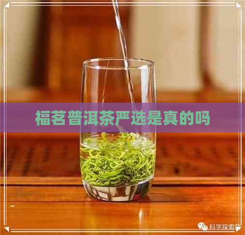 福茗普洱茶严选是真的吗