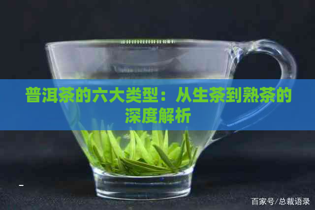 普洱茶的六大类型：从生茶到熟茶的深度解析