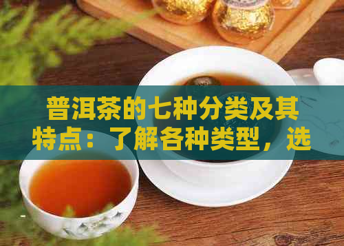 普洱茶的七种分类及其特点：了解各种类型，选择适合自己的普洱茶