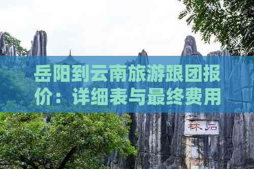 岳阳到云南旅游跟团报价：详细表与最终费用预测