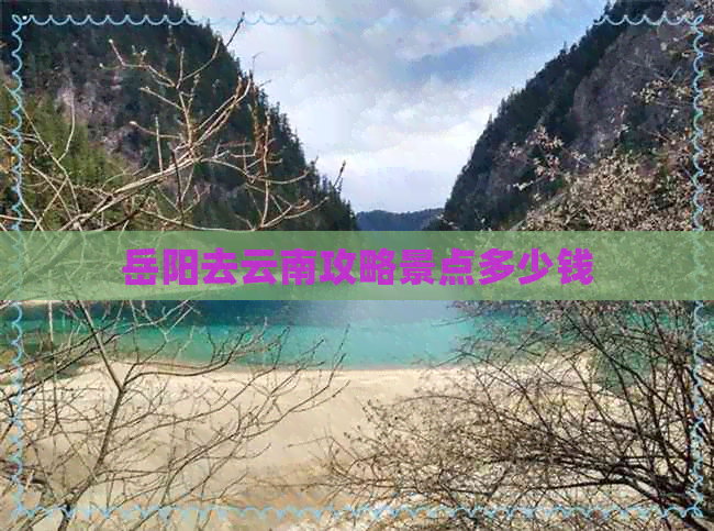 岳阳去云南攻略景点多少钱