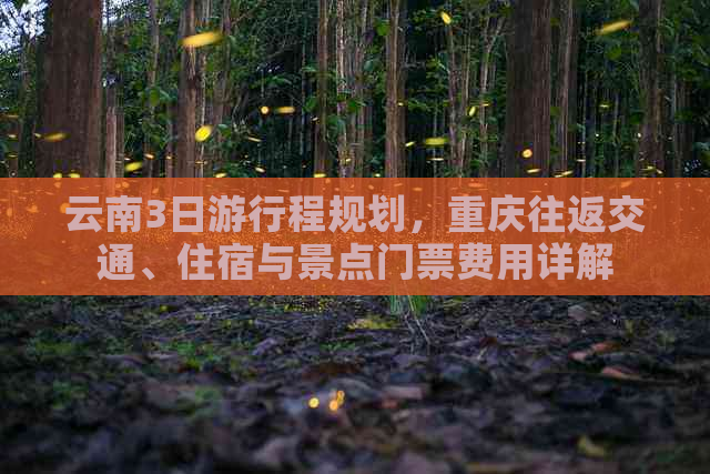 云南3日     程规划，重庆往返交通、住宿与景点门票费用详解