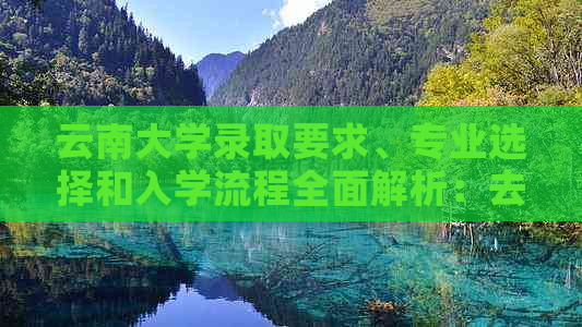 云南大学录取要求、专业选择和入学流程全面解析：去云南读大学的完整指南