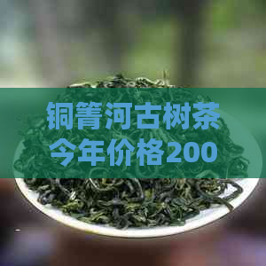 铜箐河古树茶今年价格200克保存，2019巴达及2022价格走势分析