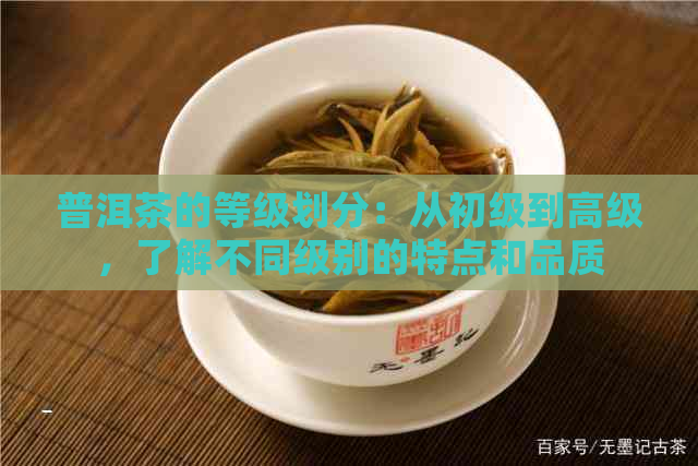 普洱茶的等级划分：从初级到高级，了解不同级别的特点和品质