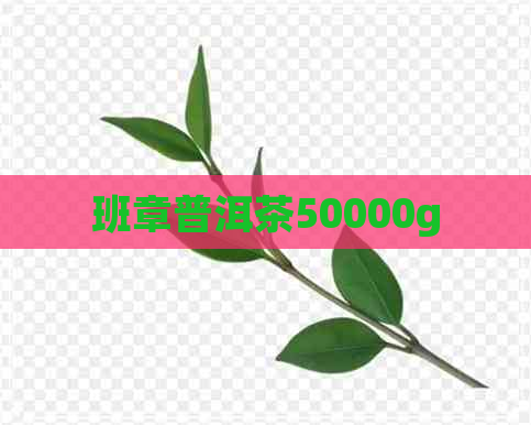 班章普洱茶50000g