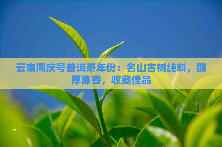 云南同庆号普洱茶年份：名山古树纯料，醇厚陈香，收藏佳品