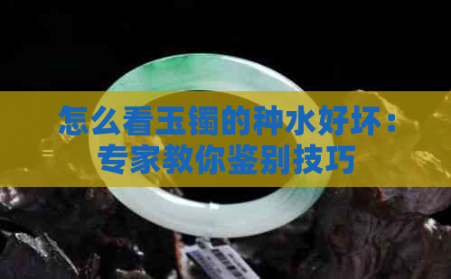 怎么看玉镯的种水好坏：专家教你鉴别技巧