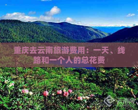 重庆去云南旅游费用：一天、线路和一个人的总花费