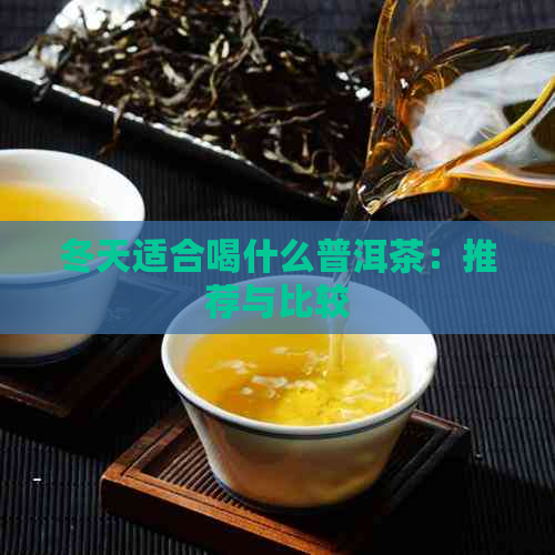 冬天适合喝什么普洱茶：推荐与比较