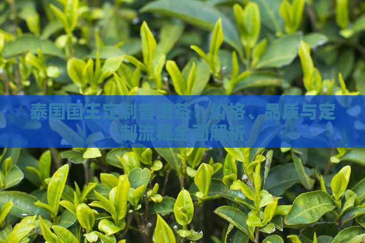 泰国国王定制普洱茶：价格、品质与定制流程全面解析