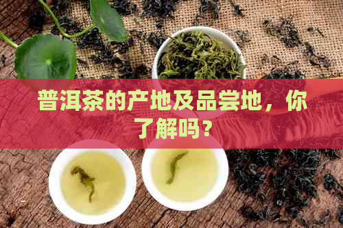 普洱茶的产地及品尝地，你了解吗？