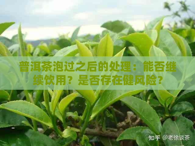 普洱茶泡过之后的处理：能否继续饮用？是否存在健风险？