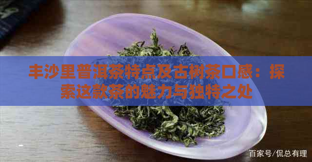 丰沙里普洱茶特点及古树茶口感：探索这款茶的魅力与独特之处