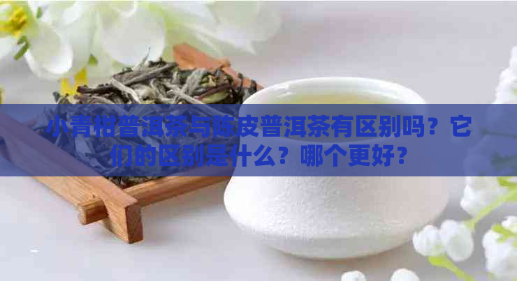 小青柑普洱茶与陈皮普洱茶有区别吗？它们的区别是什么？哪个更好？