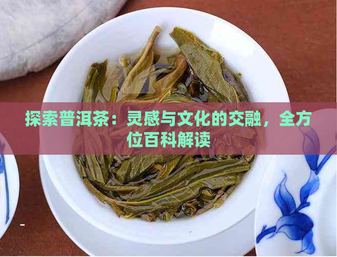 探索普洱茶：灵感与文化的交融，全方位百科解读