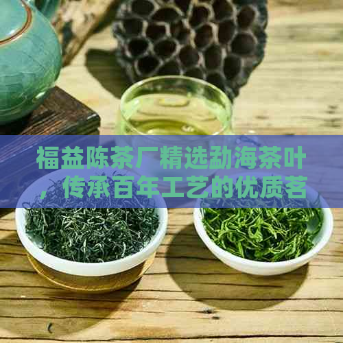 福益陈茶厂精选勐海茶叶，传承百年工艺的优质茗品