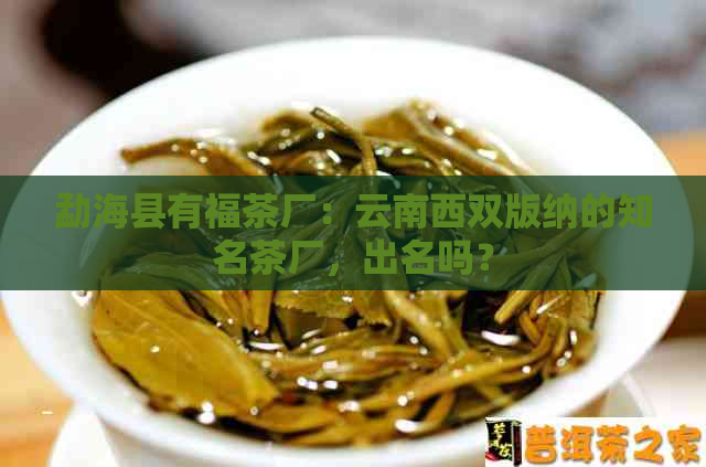 勐海县有福茶厂：云南西双版纳的知名茶厂，出名吗？