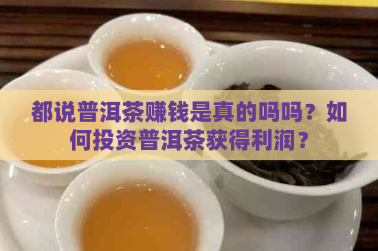 都说普洱茶赚钱是真的吗吗？如何投资普洱茶获得利润？