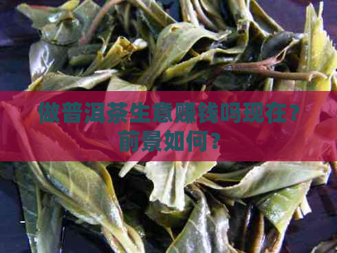 做普洱茶生意赚钱吗现在？前景如何？