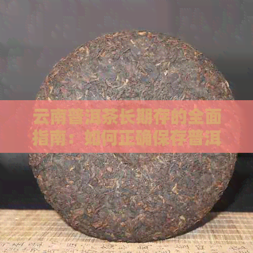 云南普洱茶长期存的全面指南：如何正确保存普洱茶以保持其品质和口感