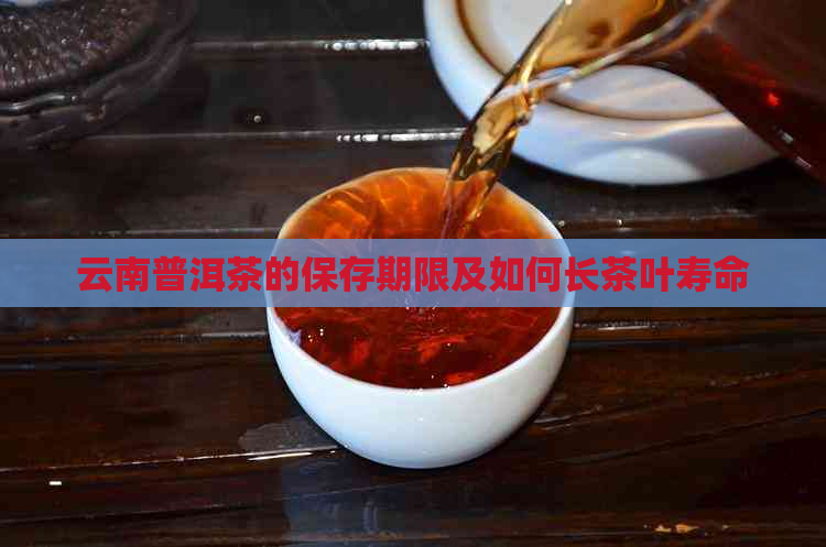 云南普洱茶的保存期限及如何长茶叶寿命