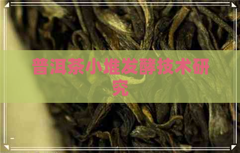 普洱茶小堆发酵技术研究