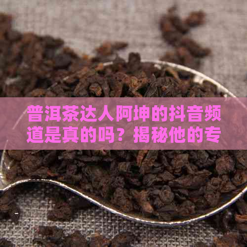 普洱茶达人阿坤的抖音频道是真的吗？揭秘他的专业背景和独特魅力