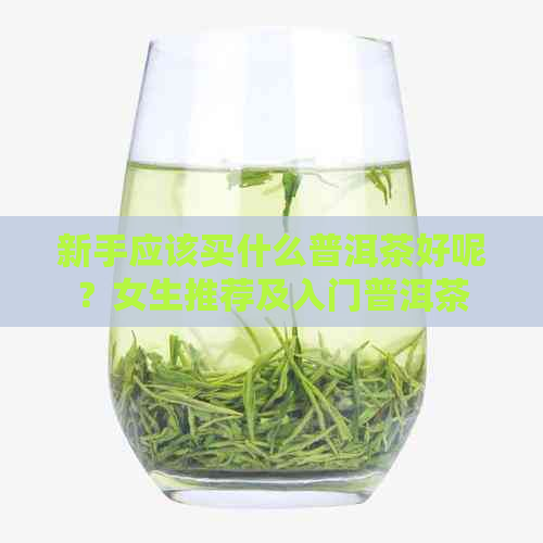 新手应该买什么普洱茶好呢？女生推荐及入门普洱茶